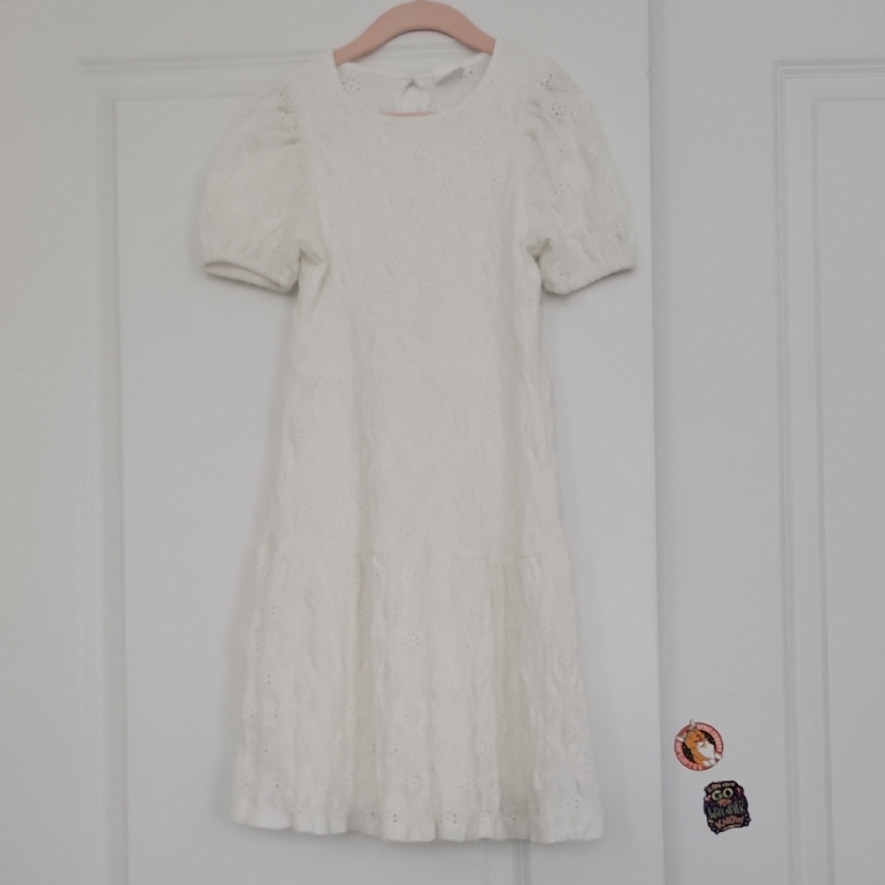 Zara Puff Sleeve Dress
